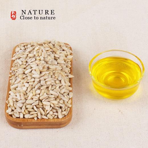 【甄客甄选】生葵花子仁 葵花籽 榨油原料 10斤 商品图6