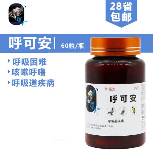 爆灯鸽药【呼可安（加强型）】胶囊60粒/呼噜/爆灯呼吸道呼可安 商品图0