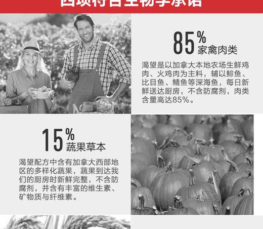 加拿大Orijen渴望无谷猎食全猫粮5.4kg 进口天然成幼猫主粮干粮 *建议零售价不低于669元JPY带授权招加盟代理 商品图4