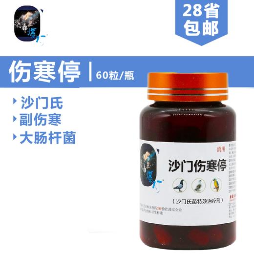 爆灯鸽药沙门伤寒停胶囊60粒沙门氏鸽肠道爆灯沙门伤寒停