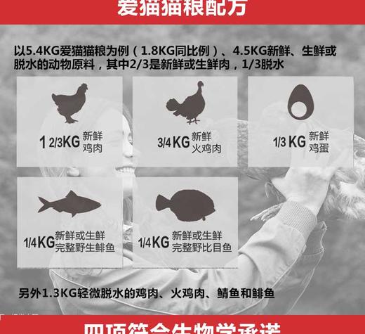 加拿大Orijen渴望无谷猎食全猫粮5.4kg 进口天然成幼猫主粮干粮 *建议零售价不低于669元JPY带授权招加盟代理 商品图3