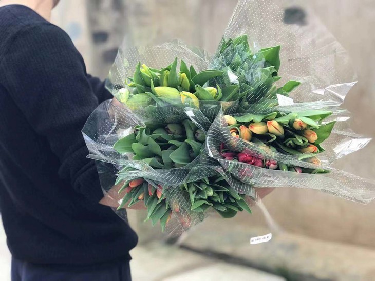 【读本鲜花】高端应季鲜切花 郁金香(颜色随机) - 丽江读本