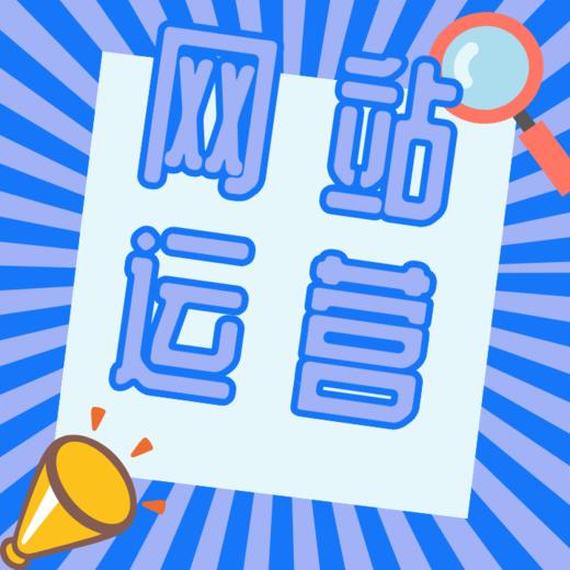 网站代运营 商品图1