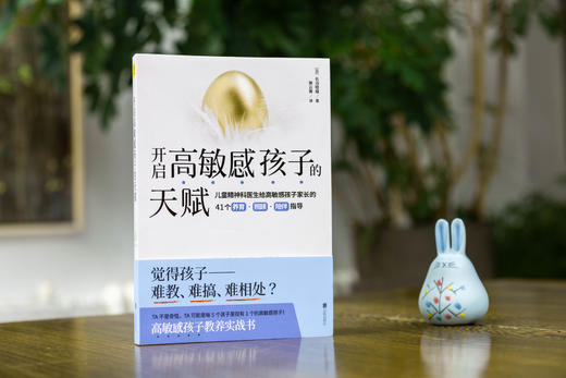 开启高敏感孩子的天赋：41个方法，让家长、老师开启高敏感孩子的天赋 商品图0