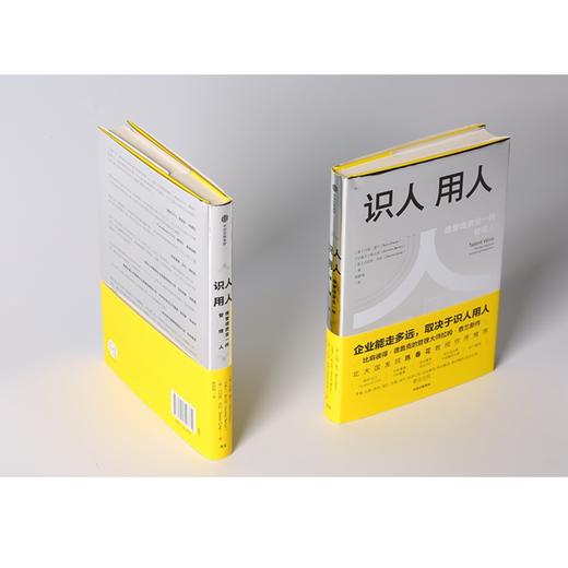识人用人 执行作者关于公司发展的深入思考 商品图2