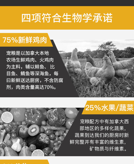 加拿大Acana爱肯拿无谷鸡肉鱼农场配方全猫粮5.4KgJPY带授权招加盟代理 商品图3