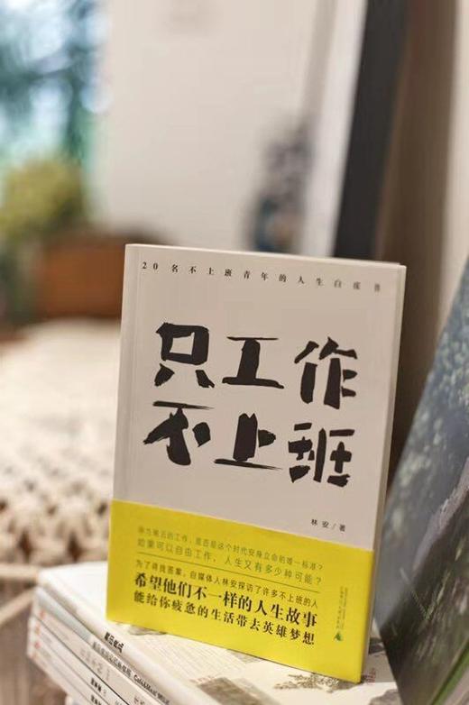 只工作，不上班：20名不上班青年的人生白皮书 商品图4