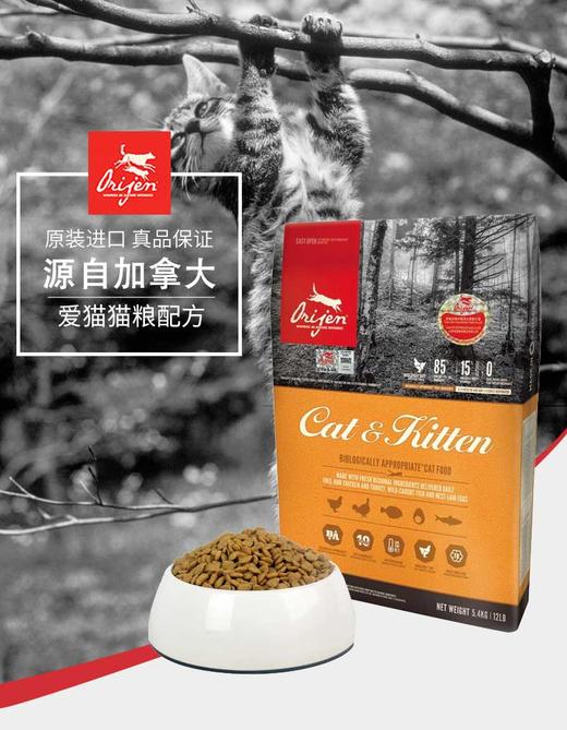 加拿大Orijen渴望无谷猎食全猫粮5.4kg 进口天然成幼猫主粮干粮 *建议零售价不低于669元JPY带授权招加盟代理 商品图2