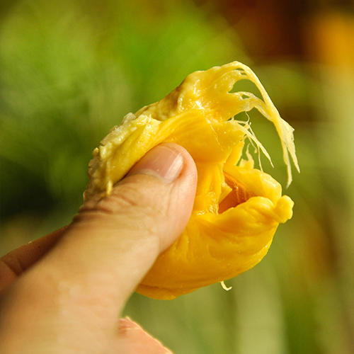 【液氮猫山王榴莲D197】正宗马来西亚进口，液氮整颗极速冷冻，不破坏果肉成分，细腻醇香，冰淇淋般的口感，收到后解冻即可食用。江浙沪皖顺丰包邮~ 商品图1