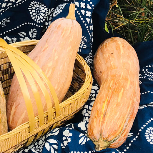 五峰奶油南瓜农家自种老南瓜1个约3-4斤