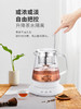 永利汇新功S32小型煮茶器玻璃电茶炉黑茶普洱茶泡茶壶烧水壶家用全自动 商品缩略图3