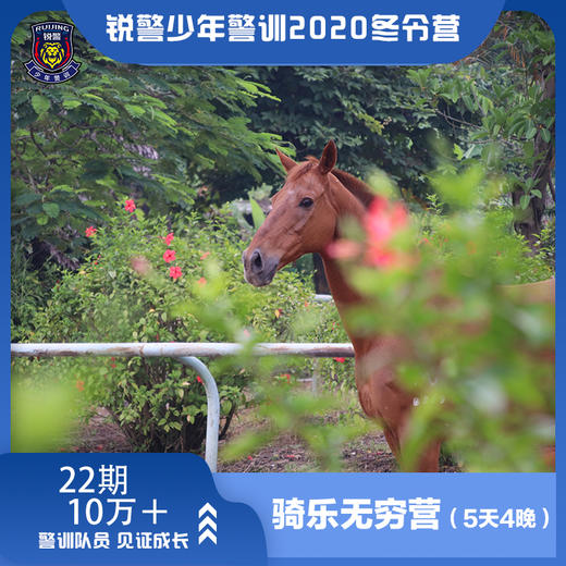 骑乐无穷营（5天4晚） 商品图1