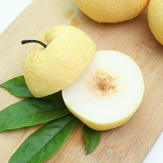 陕西蒲城贡梨 百年老树 康熙乾隆爱吃的酥梨 现摘现