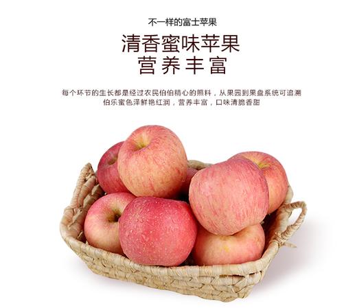 2025年山西 临猗特产新鲜冰糖心苹果 10斤毛重 商品图4