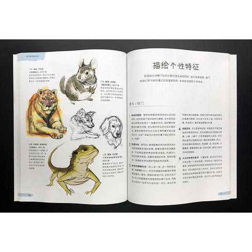 5分钟创意速写课 如何画动物 商品图4