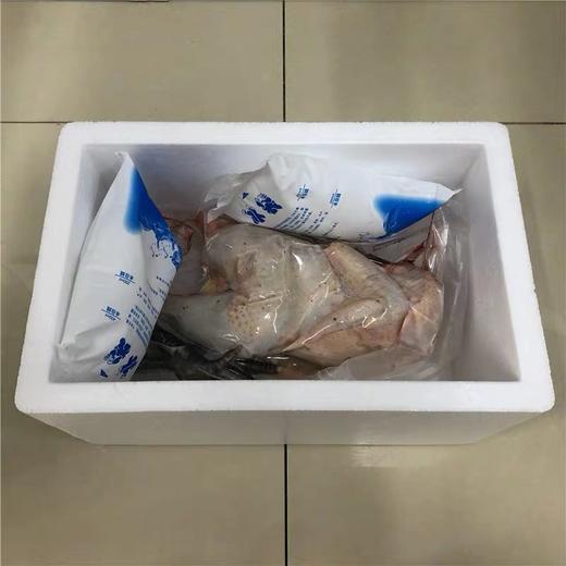 【乡村振兴】皖北农家散养老母鸡  带卵老母鸡 原粮饲养   健康营养 商品图11