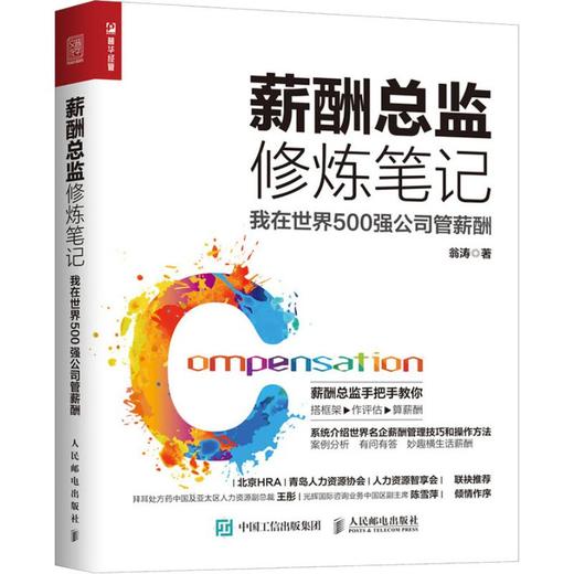 薪酬总监修炼笔记 我在世界500强公司管薪酬 商品图0