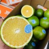 实建​褚橙‌，不催黄‌，纯‌净​甘‎甜！ 这个时​节‎，值得期‌待的‎橙子 商品缩略图1