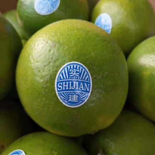 实建​褚橙‌，不催黄‌，纯‌净​甘‎甜！ 这个时​节‎，值得期‌待的‎橙子 商品图2