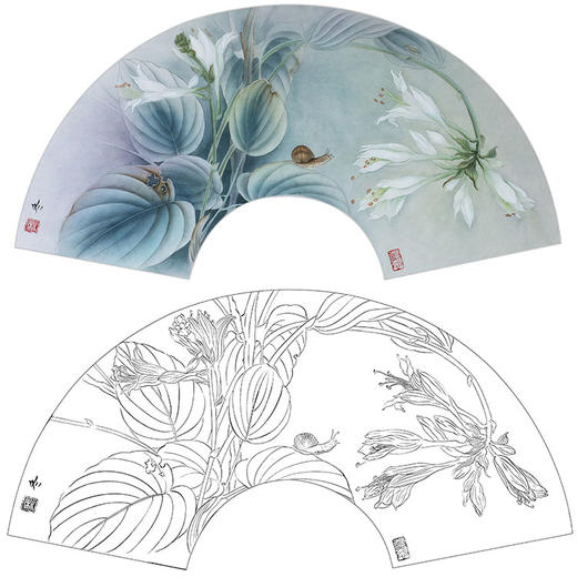 杨冬冬工笔花鸟白描底稿玉簪花扇面小品有步骤图hd60