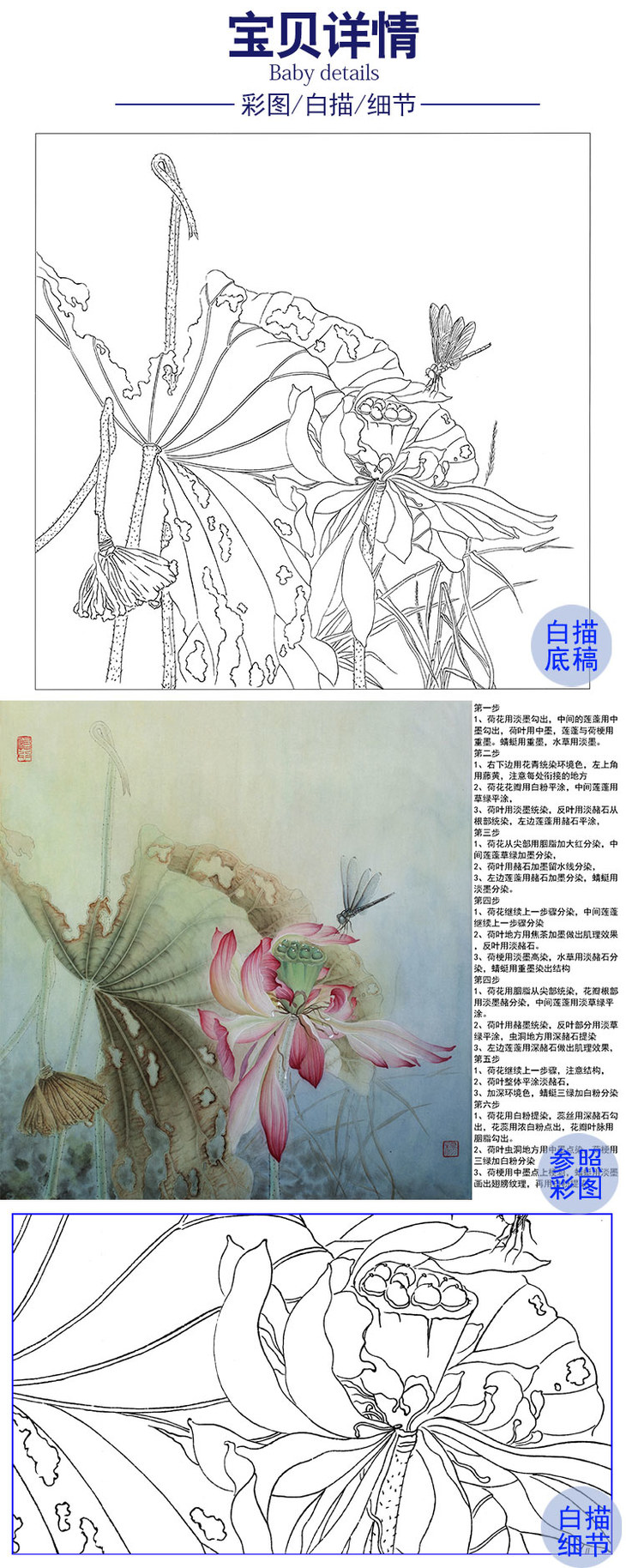 杨冬冬工笔花鸟白描底稿荷花独照玉容秋斗方小品册页hd28