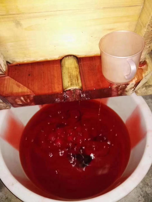 青红酒 商品图0