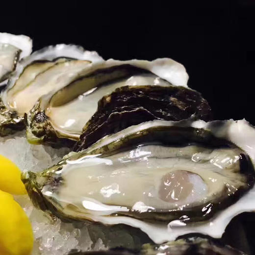 【法国原产】鲜活生蚝 玫瑰粉钻 N2号【French-Fresh Tarbouriech oyster 】 商品图1