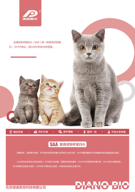 德诺SAA检测卡-猫炎症水平追踪最有效的手段（原料进口） 商品图5