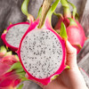 【会员13.9/颗】越南进口白心火龙果 特级 商品缩略图4