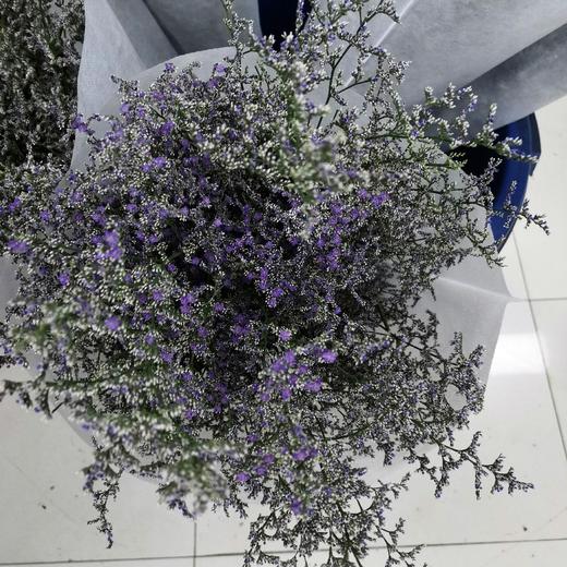 配花-情人草 商品图0