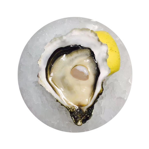 【法国原产】鲜活生蚝 玫瑰粉钻 N2号【French-Fresh Tarbouriech oyster 】 商品图0