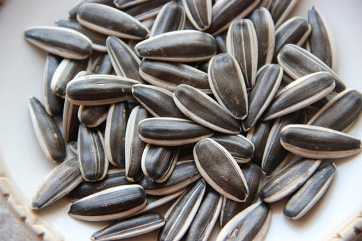 【限时秒杀】内蒙古大颗粒葵瓜子，皮薄酥脆，颗颗臻选，越嗑越香 坚果系列 商品图3