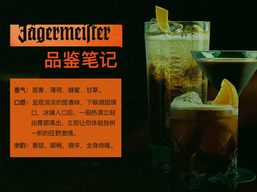 德国进口野格Mini小瓶装 圣鹿力娇酒40ml 商品图1