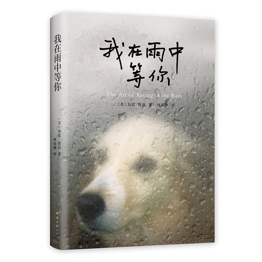 我在雨中等你 商品图0