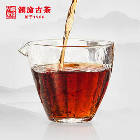 澜沧古茶盲盒高端茶样8g（生熟随机发）