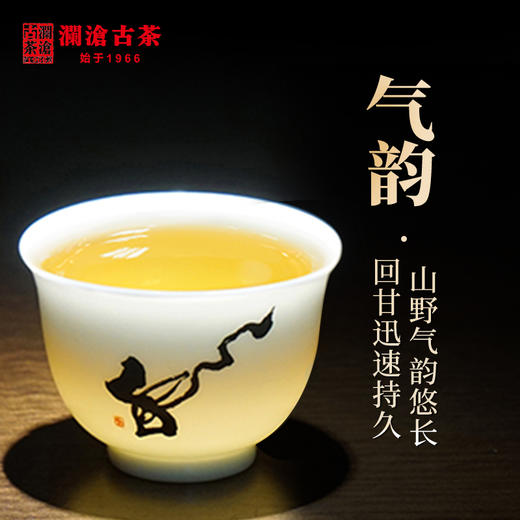 【回家之旅专属】澜沧古茶2019年馋春景迈古树春茶普洱茶生茶饼茶200g/片（一提拍5片） 商品图1
