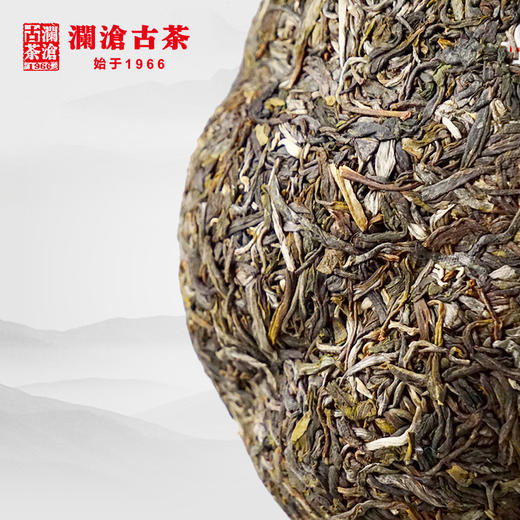 澜沧古茶2018春億金瓜景迈古树纯料1000g明前春茶叶礼盒装 商品图2