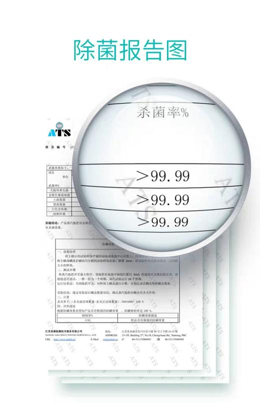 Shark鲨客蒸汽拖把电动家用高温手持拖地洗地擦地 P2 【浅蓝色】 轻装上阵JPY带授权招加盟代理 商品图5