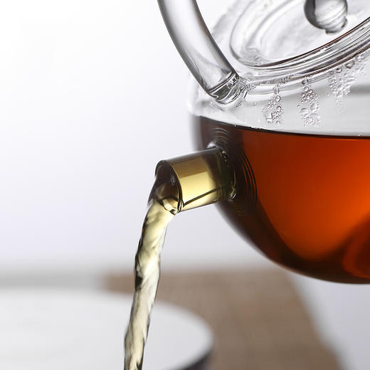 玻璃烧水壶单壶（红色把手） 商品图2