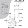 【授权商品】恩谷ENGUE 汽车工具 手电筒 安全锤 多功能工具组合EG-4010JPY带授权招加盟代理 商品缩略图5