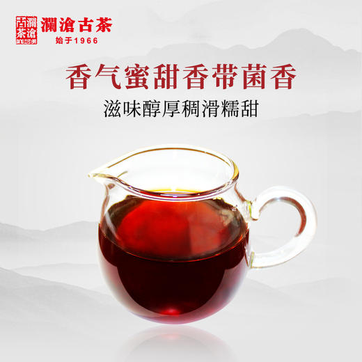 【稀有品鉴装】澜沧古茶2018年曼弄山古树普洱茶熟茶品鉴装50g 商品图2