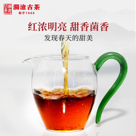 【积分兑换】澜沧古茶2019景迈春香普洱茶熟茶熟普云南七子饼古树老树茶叶357g 商品图3