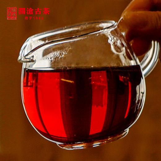 【老茶开仓专属】澜沧古茶时间的味道3年醇简装云南普洱茶熟茶饼茶罐装散茶叶200g 商品图2