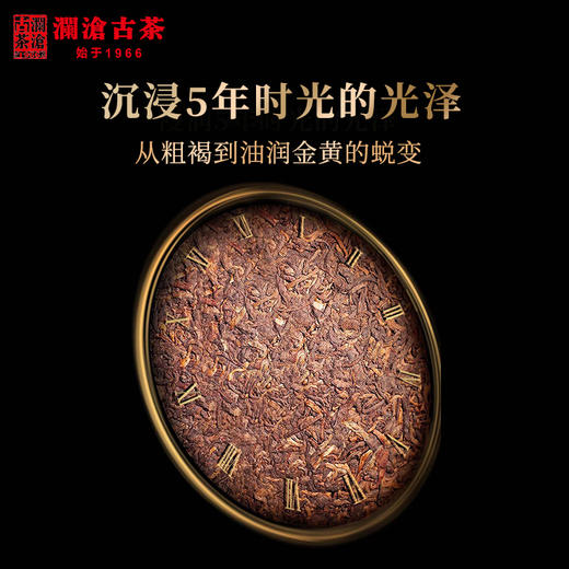 【积分兑换】澜沧古茶2019岁月留金古树普洱茶熟茶云5年陈云南七子饼茶叶357g 商品图0