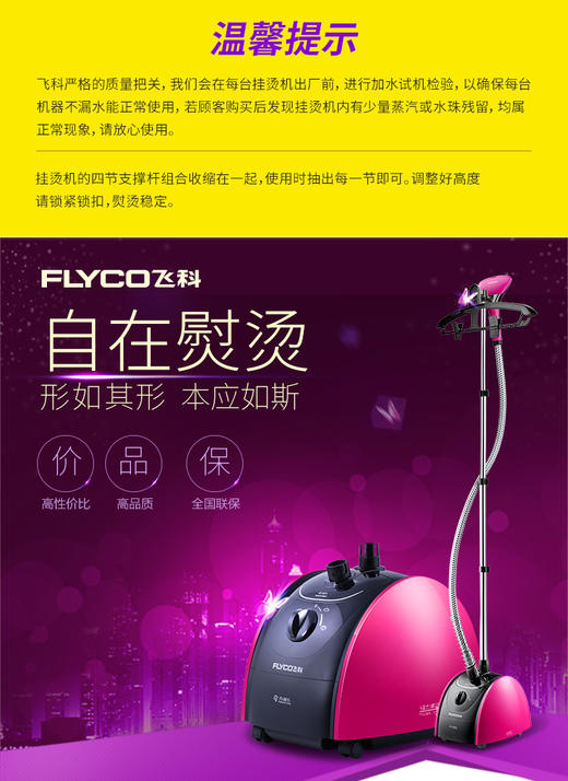 飞科（FLYCO）FI9816蒸汽挂烫机 手持家用电熨斗挂式蒸汽熨衣机JPY带授权招加盟代理 商品图1