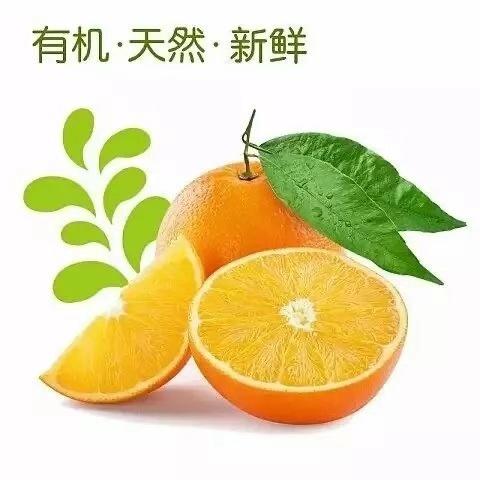 赣南脐橙 商品图0