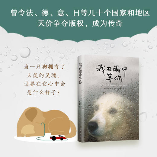 我在雨中等你 商品图3