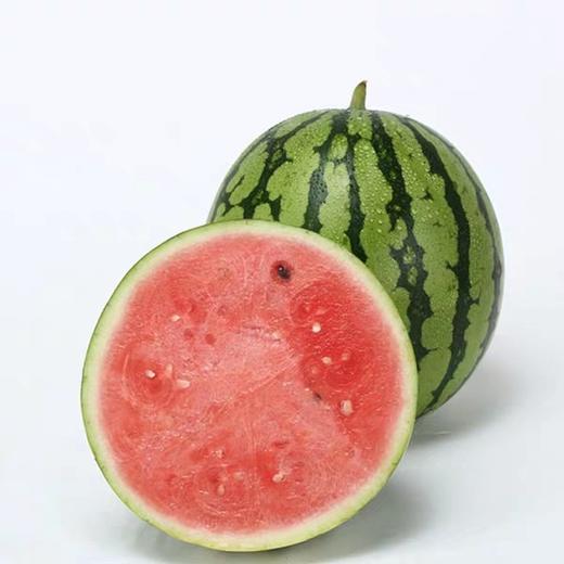 小蜂蜜麒麟西瓜仅发上海四只装