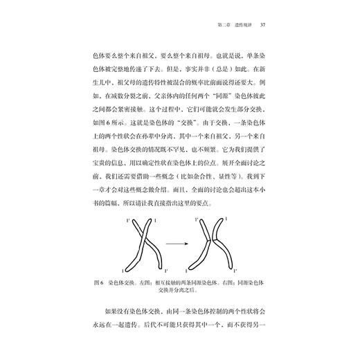 《生命是什么》 商品图3