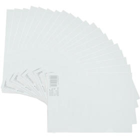 齐心(Comix) 20个装 A4透明二页文件套 L型文件夹 单片夹 EA31